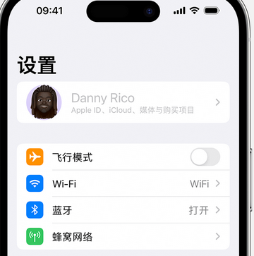 冯坡镇appleID维修服务iPhone设置中Apple ID显示为灰色无法使用 