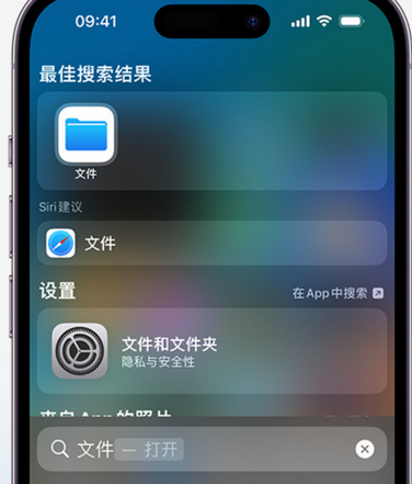 冯坡镇apple维修中心分享iPhone文件应用中存储和找到下载文件 