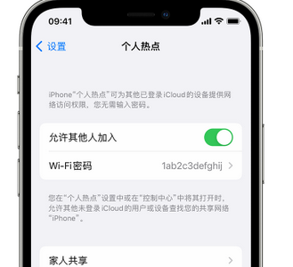 冯坡镇apple服务站点分享iPhone上个人热点丢失了怎么办