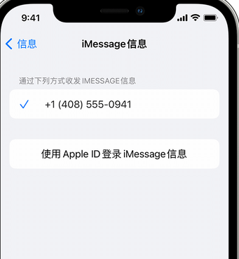 冯坡镇apple维修iPhone上无法正常发送iMessage信息 