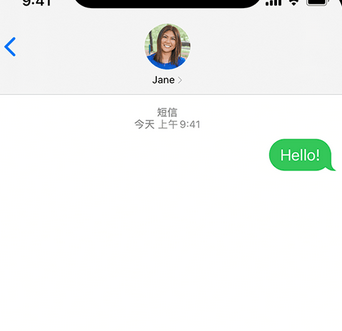 冯坡镇apple维修iPhone上无法正常发送iMessage信息