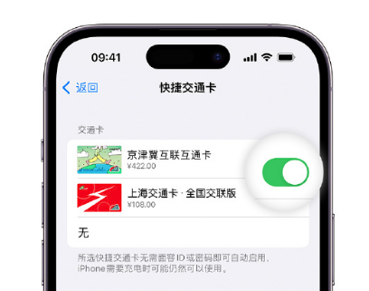 冯坡镇apple维修点分享iPhone上更换Apple Pay快捷交通卡手绘卡面 