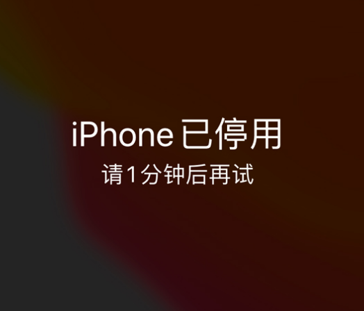 冯坡镇苹果手机维修分享:iPhone 显示“不可用”或“已停用”怎么办？还能保留数据吗？ 