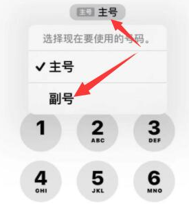 冯坡镇苹果14维修店分享iPhone 14 Pro Max使用副卡打电话的方法 