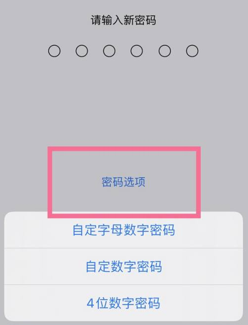 冯坡镇苹果14维修分享iPhone 14plus设置密码的方法 