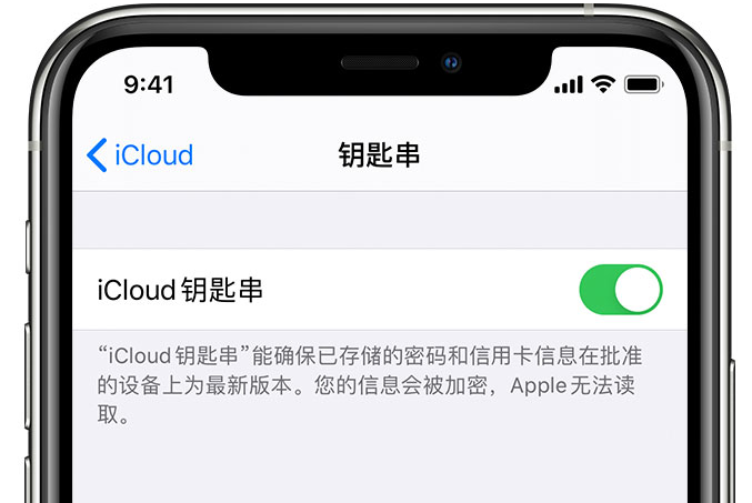 冯坡镇苹果手机维修分享在 iPhone 上开启 iCloud 钥匙串之后会储存哪些信息 