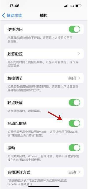 冯坡镇苹果手机维修分享iPhone手机如何设置摇一摇删除文字 