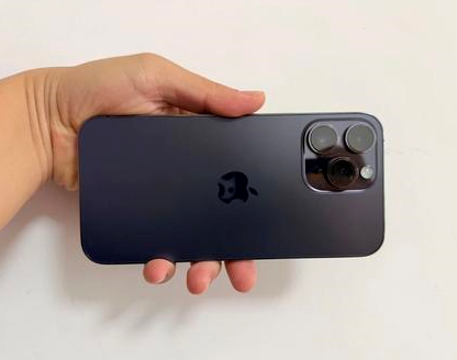 冯坡镇苹果维修点分享iPhone 14 Pro Max发烫多重诱因剖析 